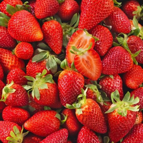 Comment Conserver Des Fraises Facilement Blog Mon March Fr