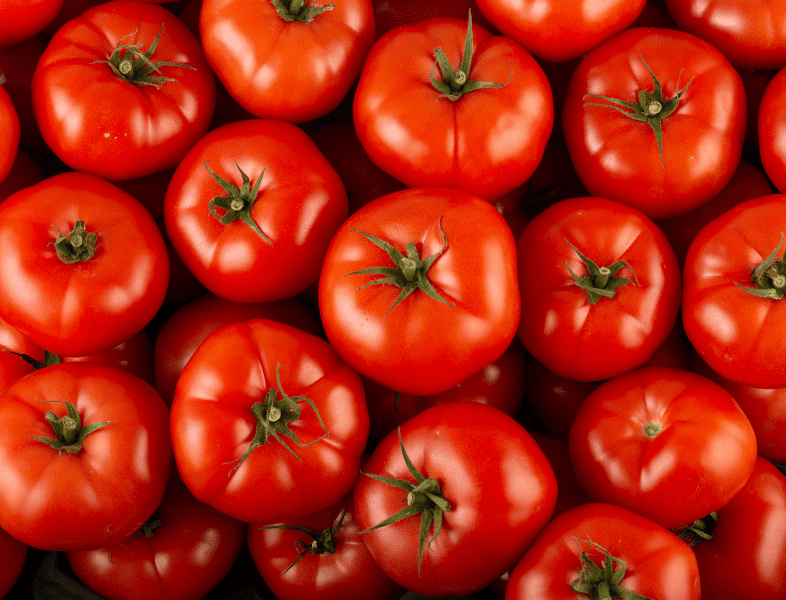 La tomate, tout ce qu'il faut savoir - Mon Marché - Le Blog