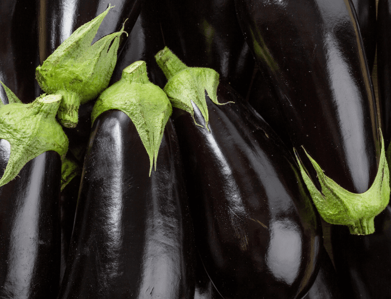 Comment cuisiner l'aubergine, la choisir et la conserver ?