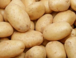 La pomme de terre colomba, tout ce qu'il faut savoir - Mon Marché