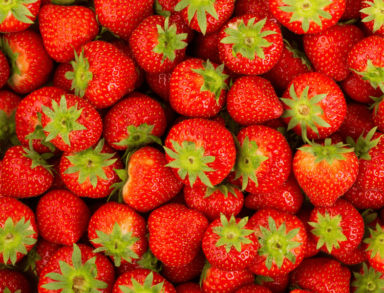 Les fraises gariguettes