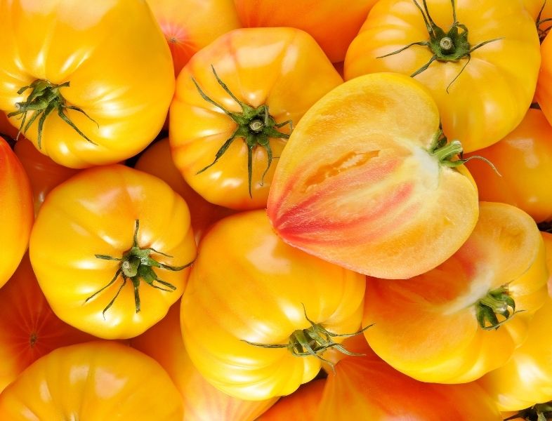 Les tomates coeur de boeuf