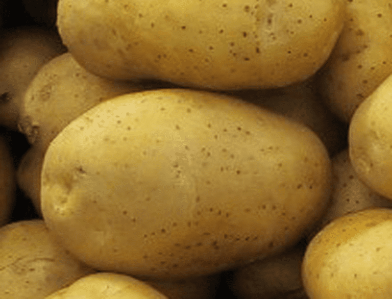Pomme De Terre Marabel Pour Quelle Utilisation Marabel 28/35-25 Plants De Pomme De Terre De Bernard 32 La pomme de terre marabel, tout ce qu'il faut savoir - Mon Marché
