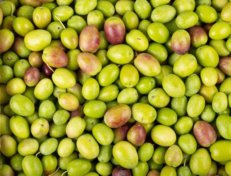L’olive