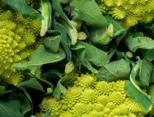 choux romanesco