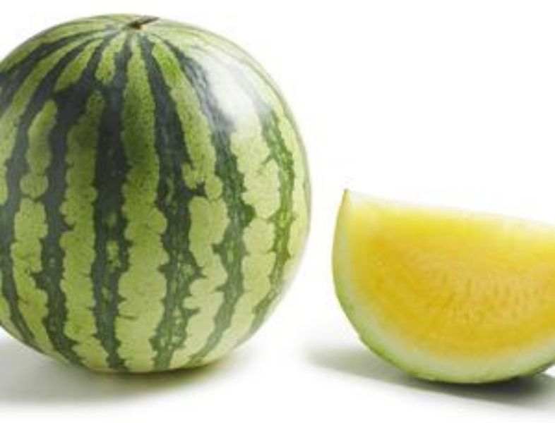 Le melon vert fait-il grossir ? - Le blog