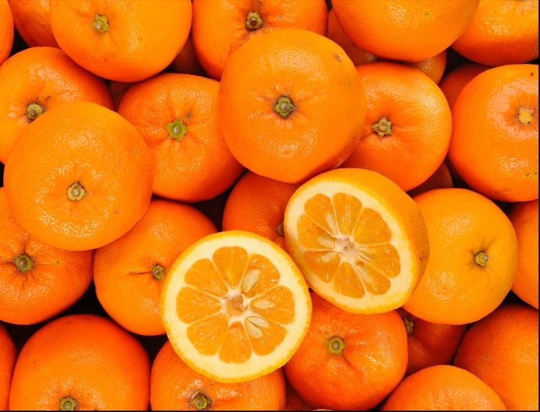 oranges amères