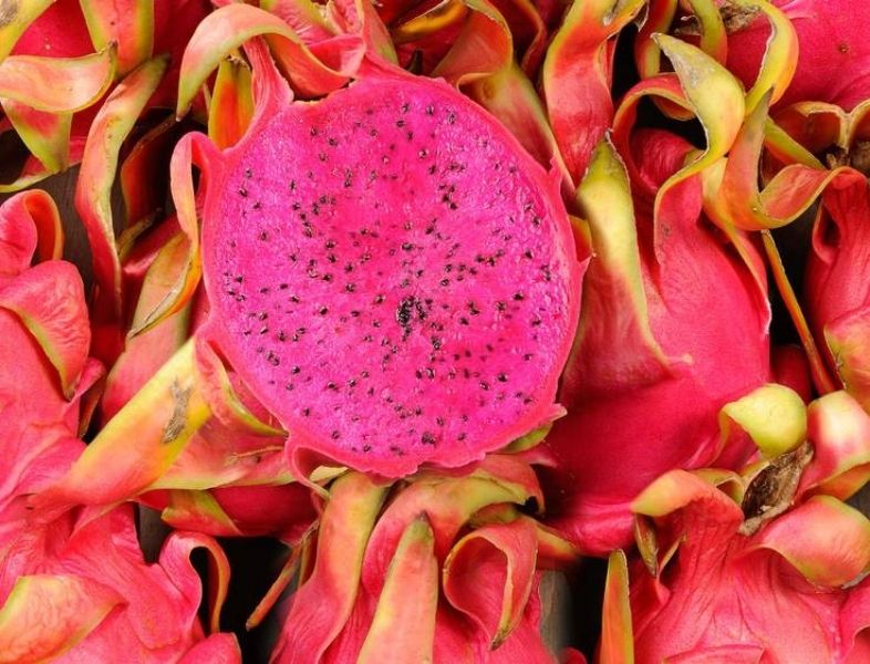 Le pitaya rouge