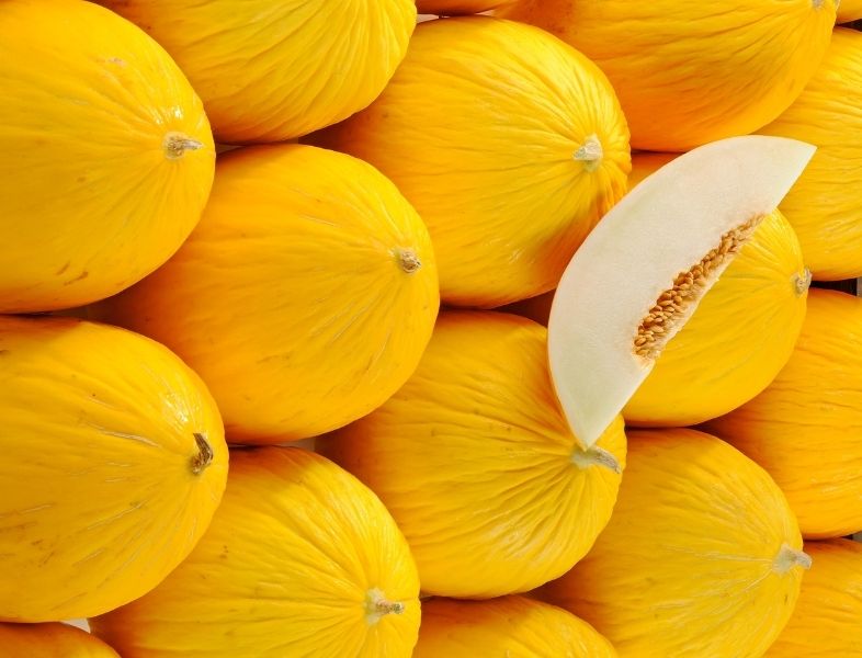 Cuisine : connaissez-vous le melon jaune ?