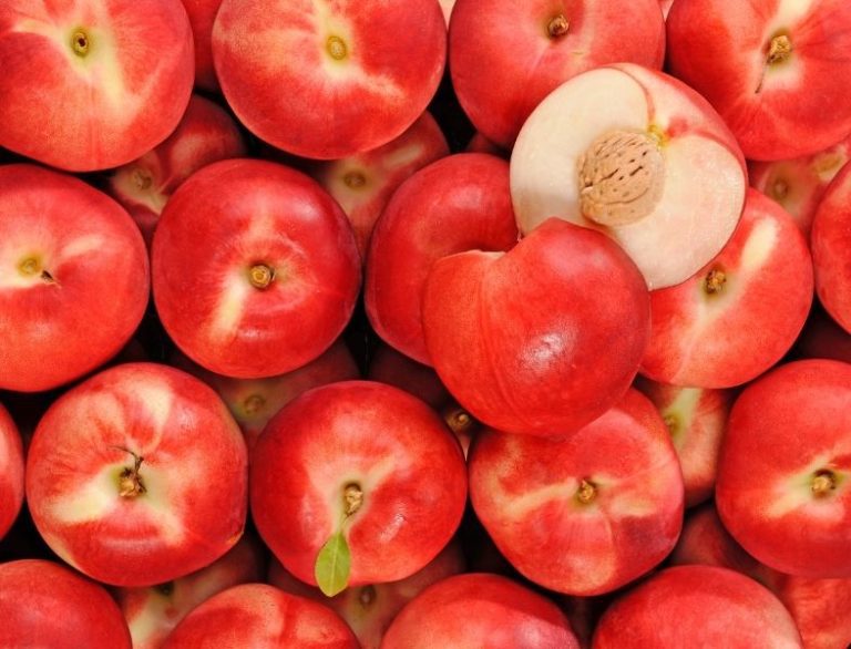 La nectarine blanche, tout ce qu'il faut savoir Mon Marché