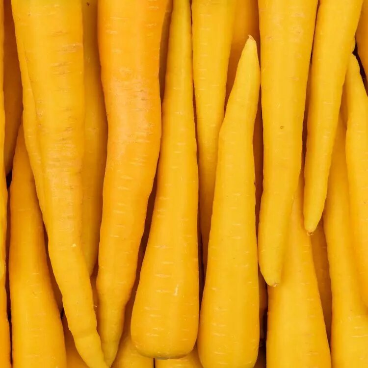carottes jaunes
