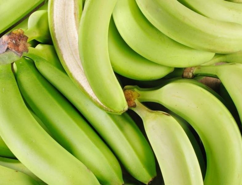 les bananes vertes